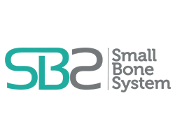 Small Bone System